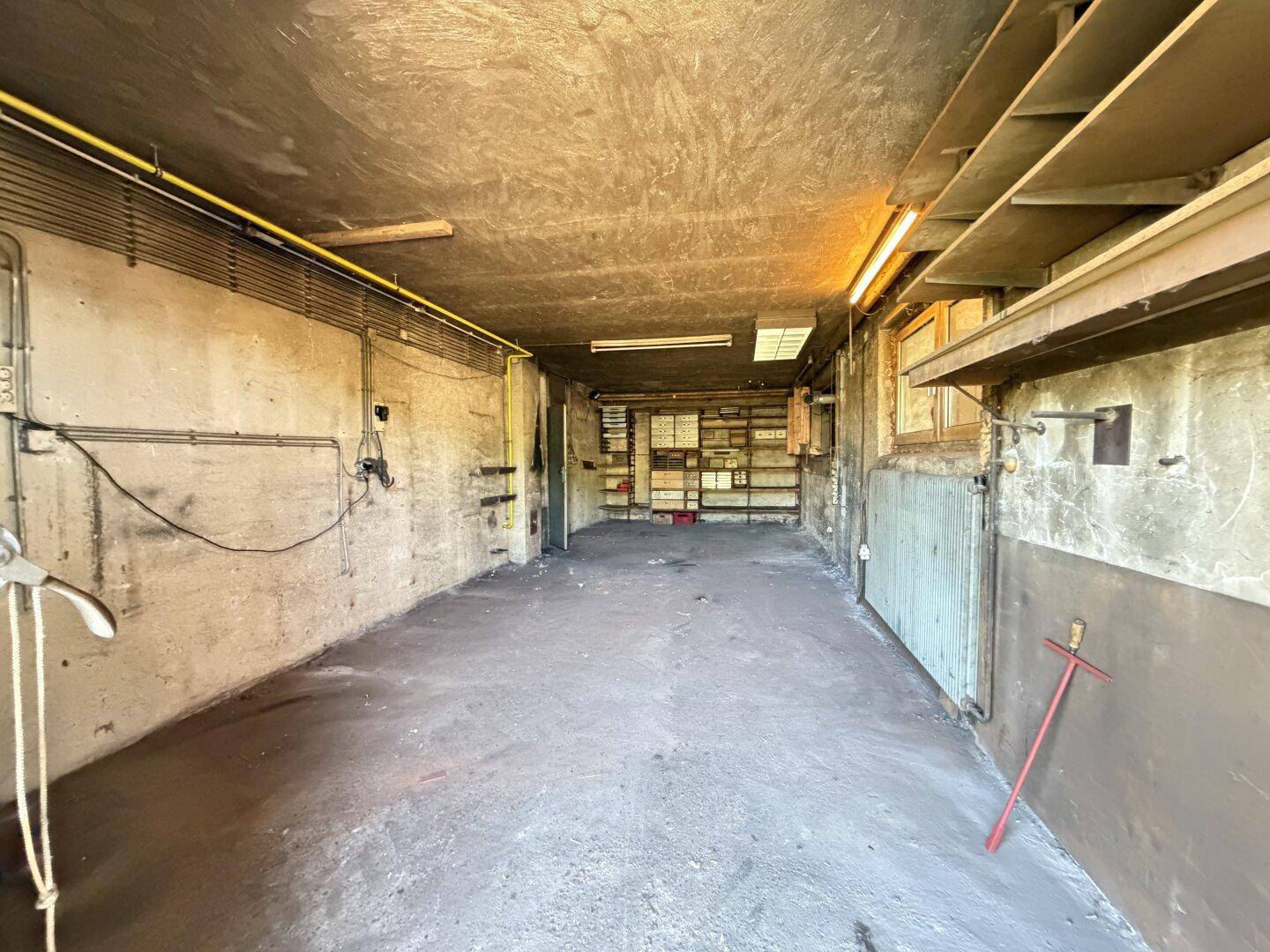 Geräumige Garage mit Betonboden, Regalen und sichtbaren Leitungen, ideal für Fahrzeuge oder Lagerung.