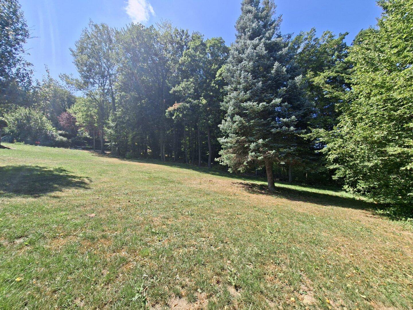 Großer, gepflegter Gartenbereich mit altem Baumbestand und viel Grünfläche unter blauem Himmel.