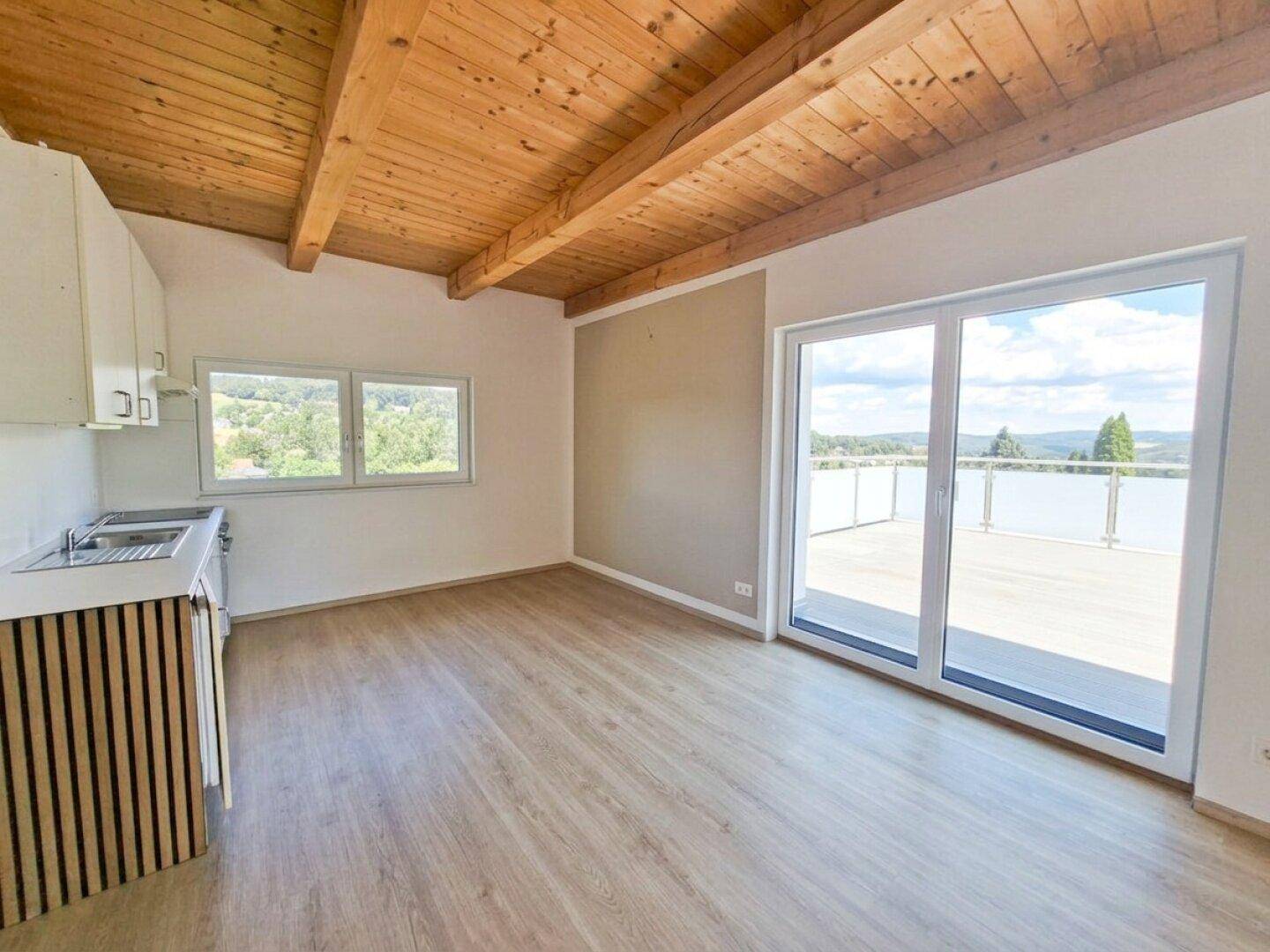Offener Wohnbereich mit Küchenzeile, Holzbalkendecke und Zugang zu einer großen Dachterrasse.