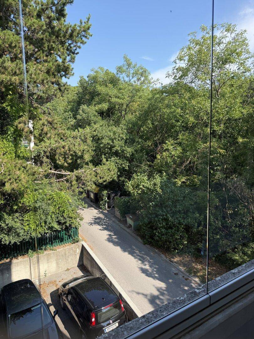 Blick von oben auf eine ruhige Straße mit parkenden Autos, umgeben von dichtem Grün.