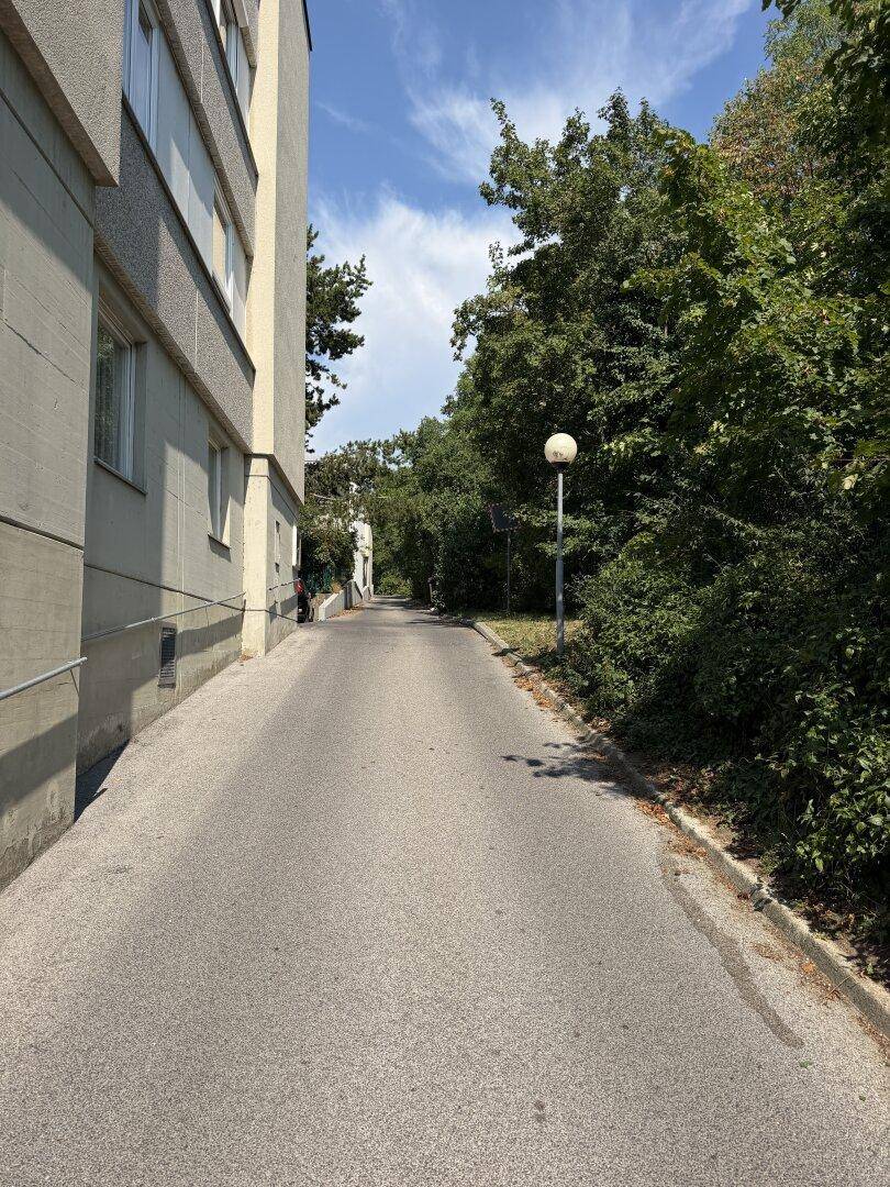 Außenansicht eines Gebäudes entlang einer asphaltierten Straße, umgeben von üppigen Bäumen.