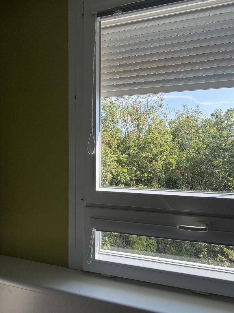 Fenster mit Rollladen und Blick auf die grüne Umgebung, das viel Tageslicht hereinlässt.