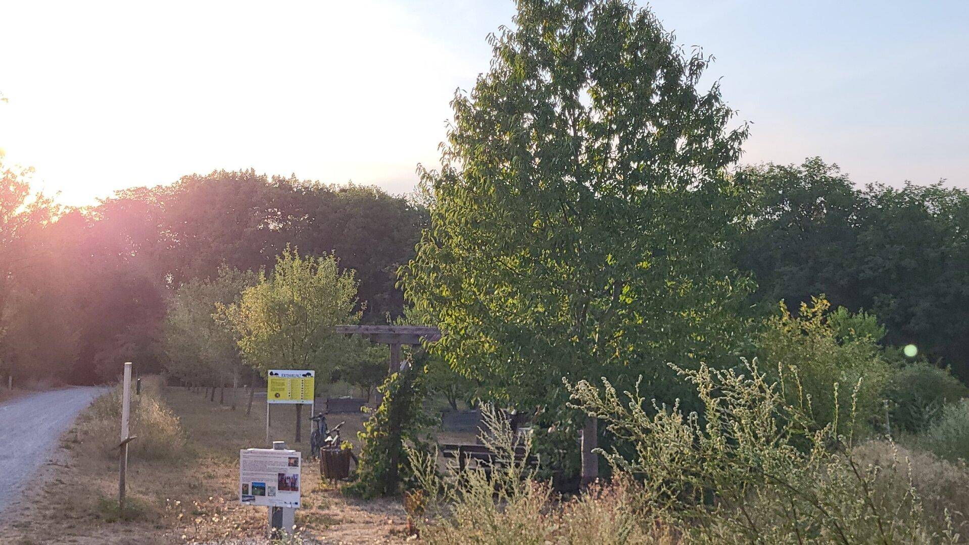 Sonnige Außenaufnahme eines Feldwegs, umgeben von Bäumen und Sträuchern mit Informationsschildern im Hintergrund.