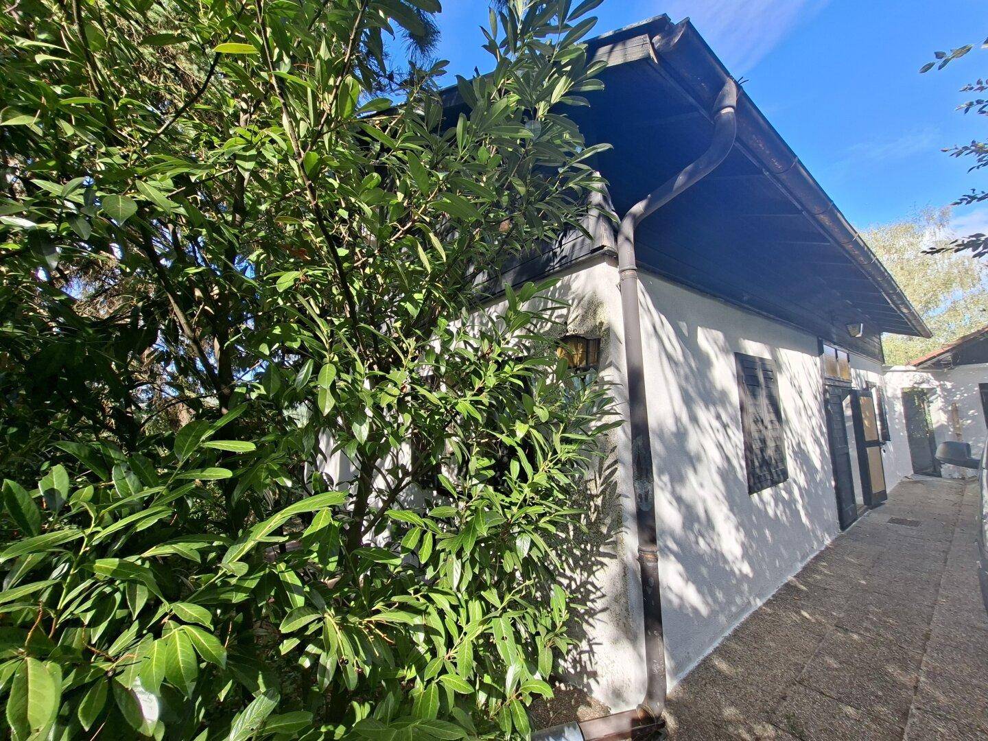 Seitenansicht des Hauses mit weißer Fassade, dunklem Dach und üppiger Vegetation.