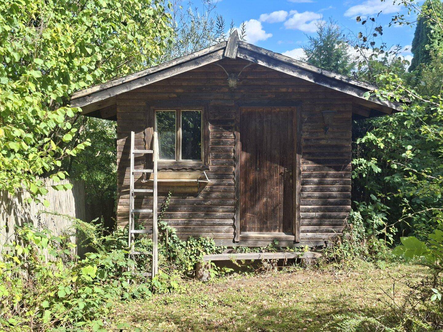 Rustikales Gartenhaus aus Holz mit Fenster und Leiter in einer grünen Umgebung.