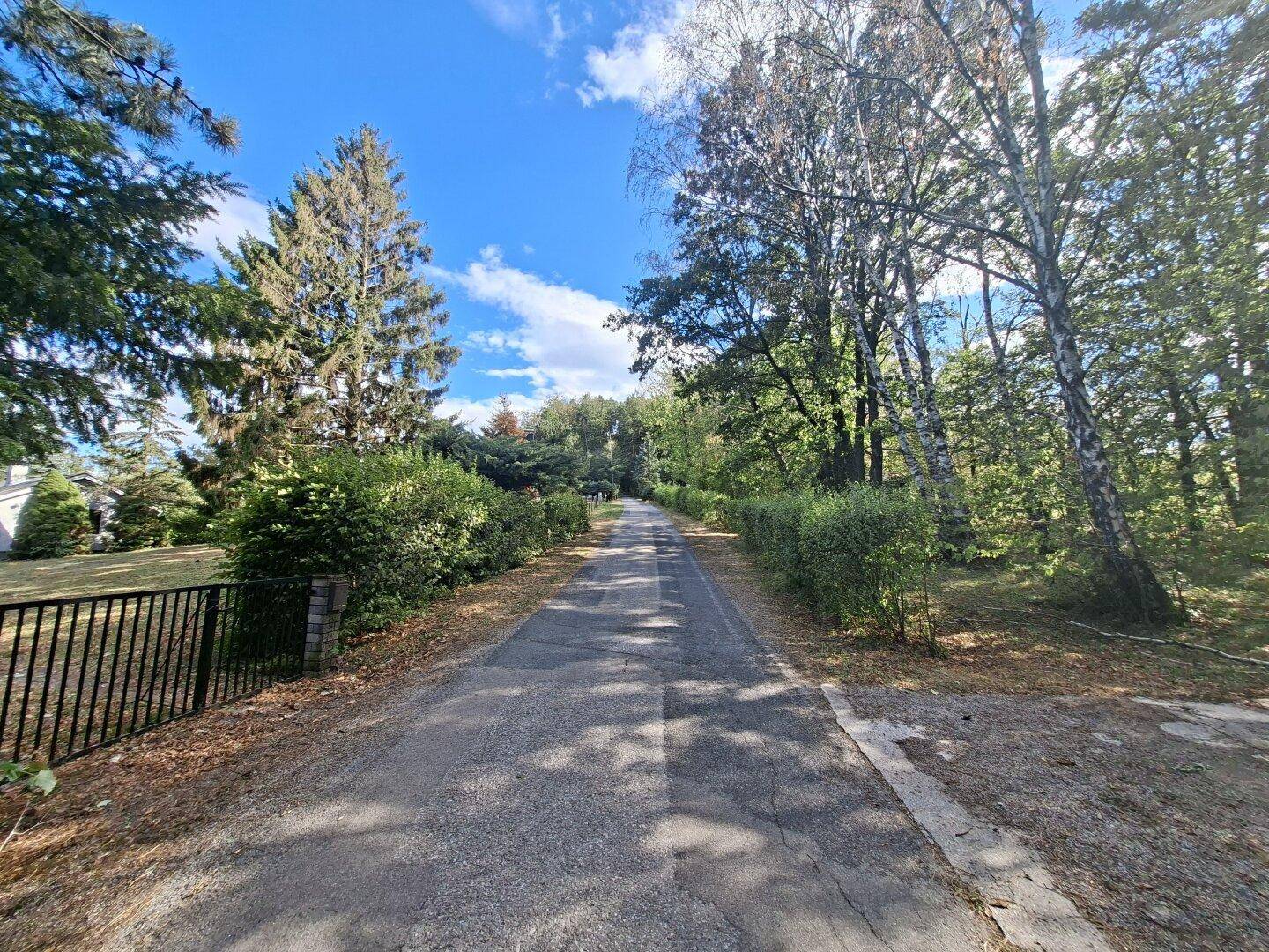 Zufahrtsweg zum Anwesen, umgeben von Bäumen und Hecken unter blauem Himmel.