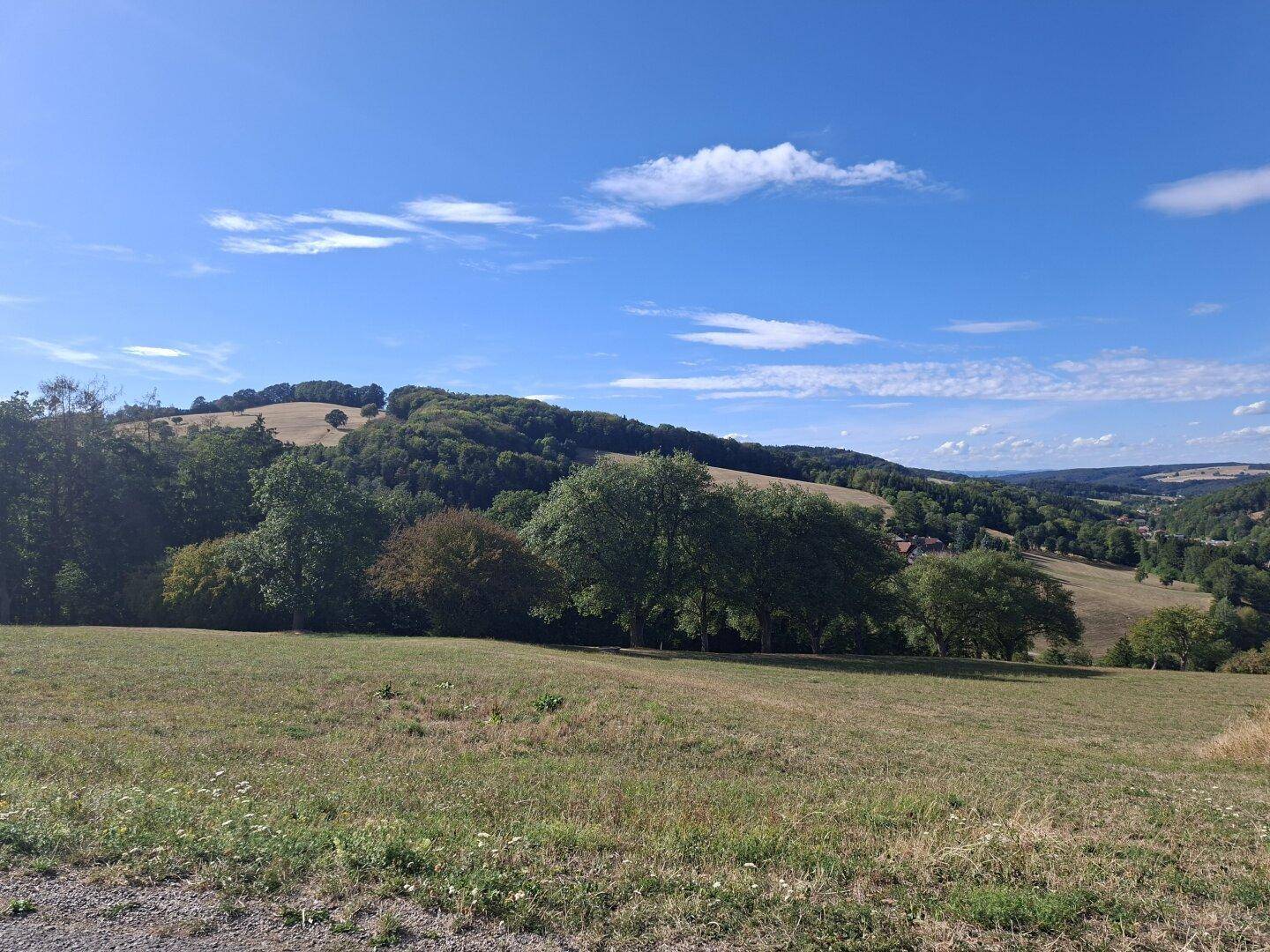 Weitläufiger Blick über die hügelige, grüne Landschaft unter einem strahlend blauen Himmel.