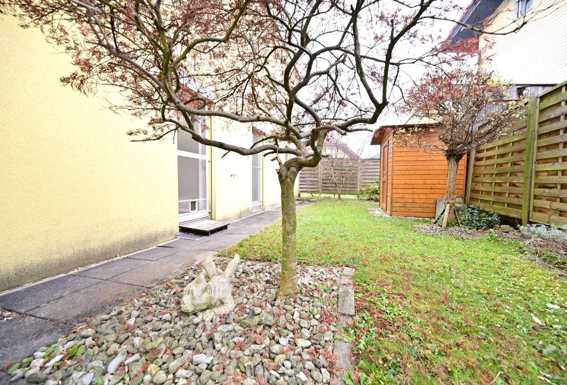 Kleiner Gartenbereich mit Baum, Rasenfläche und einem Holzschuppen.
