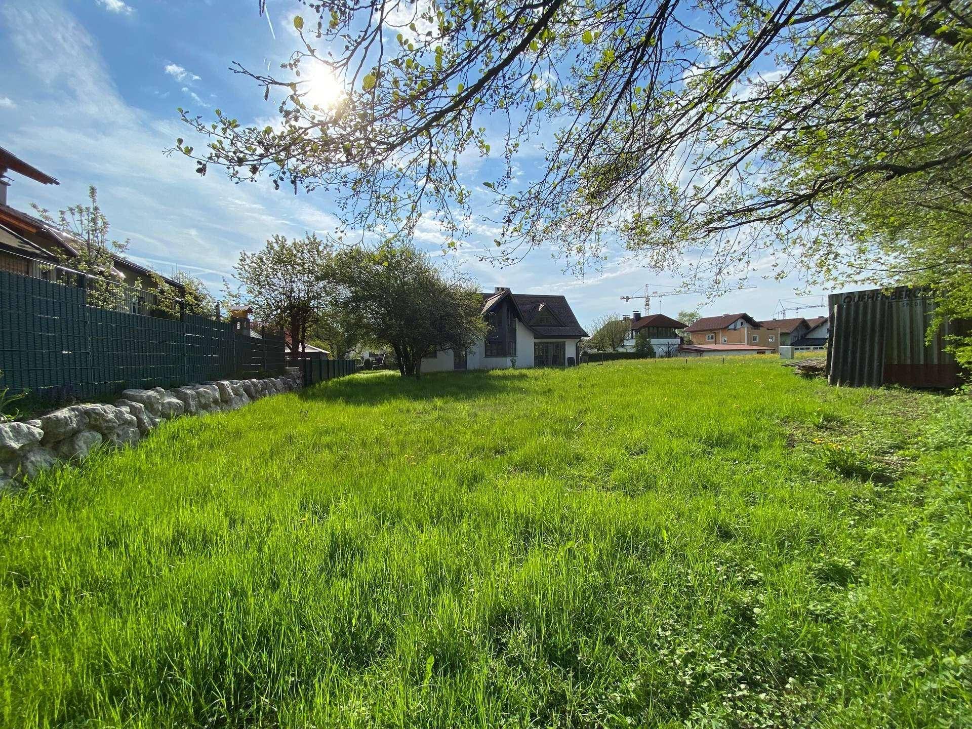 Weitläufige grüne Wiese mit einem Haus im Hintergrund unter strahlendem Sonnenschein und blauem Himmel.