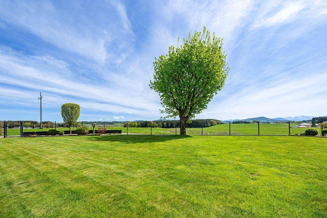 Weitläufige grüne Rasenfläche mit einem einzelnen Baum und Panoramablick auf die Landschaft.