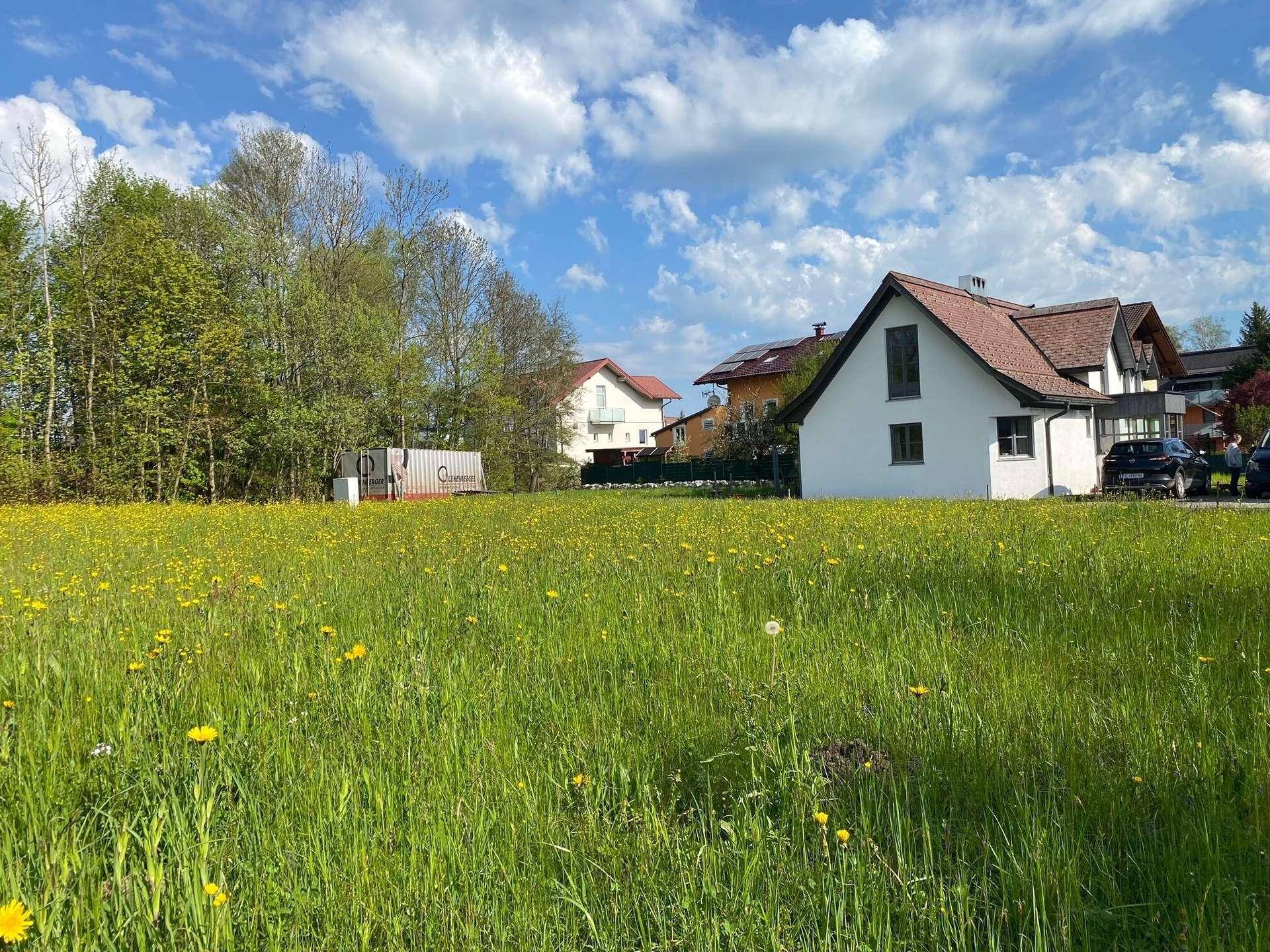 Weitläufige grüne Wiese mit gelben Blumen und einem Wohnhaus im Hintergrund unter blauem Himmel.