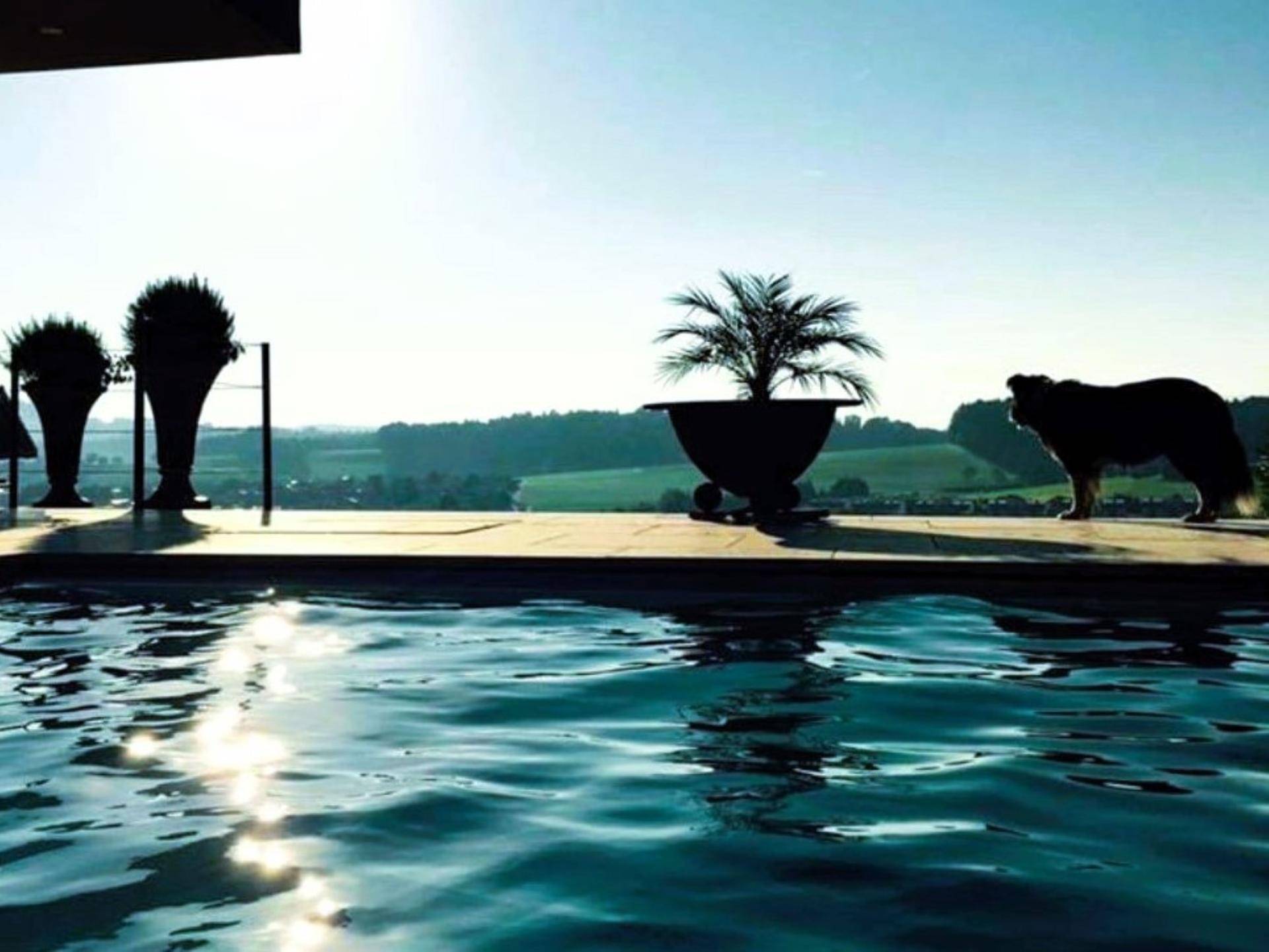 Infinity-Pool mit weitem Blick über die Landschaft bei Sonnenuntergang.