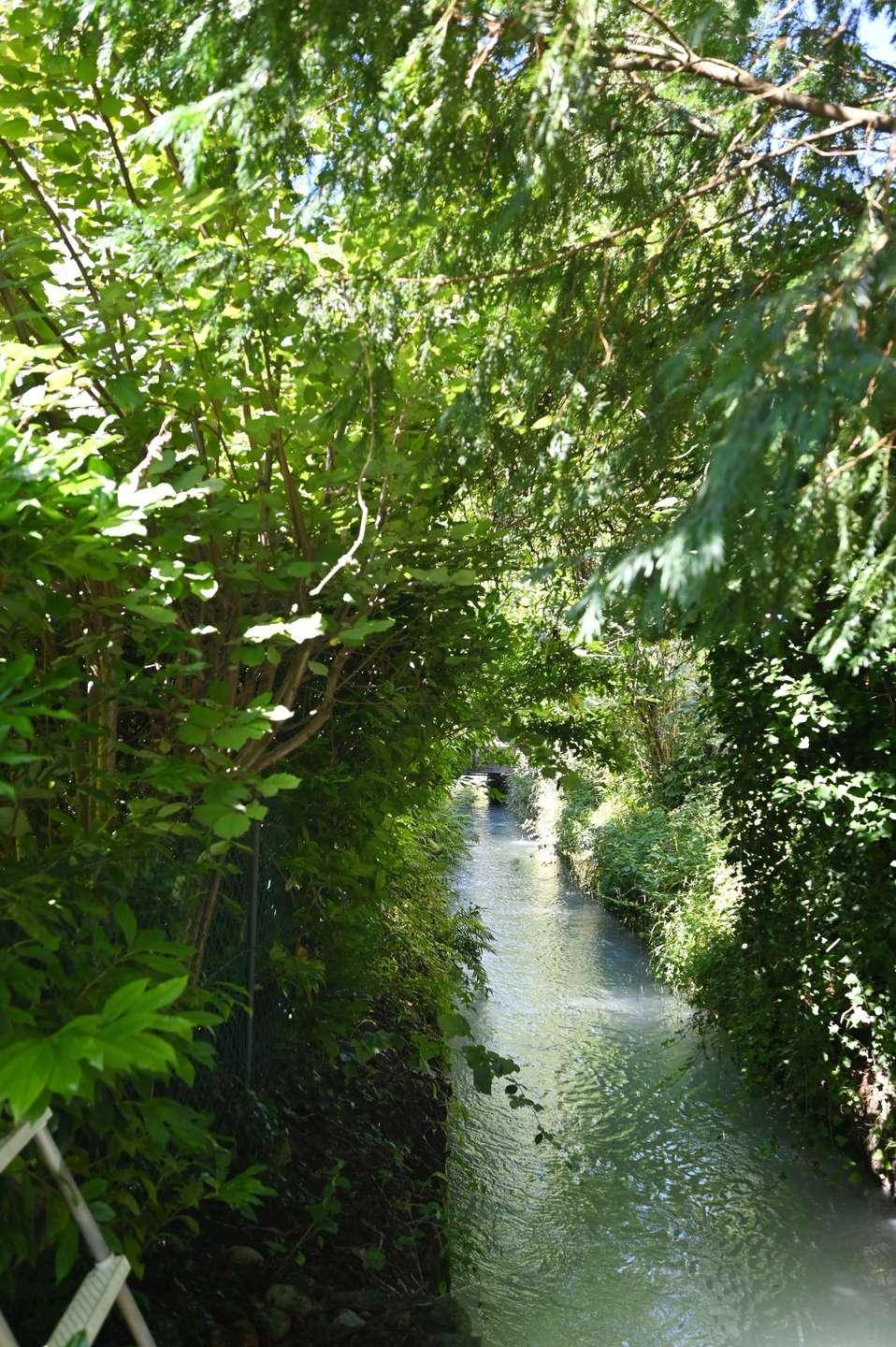 Idyllischer Bachlauf umgeben von üppigem Grün und Bäumen, bietet eine ruhige Atmosphäre.