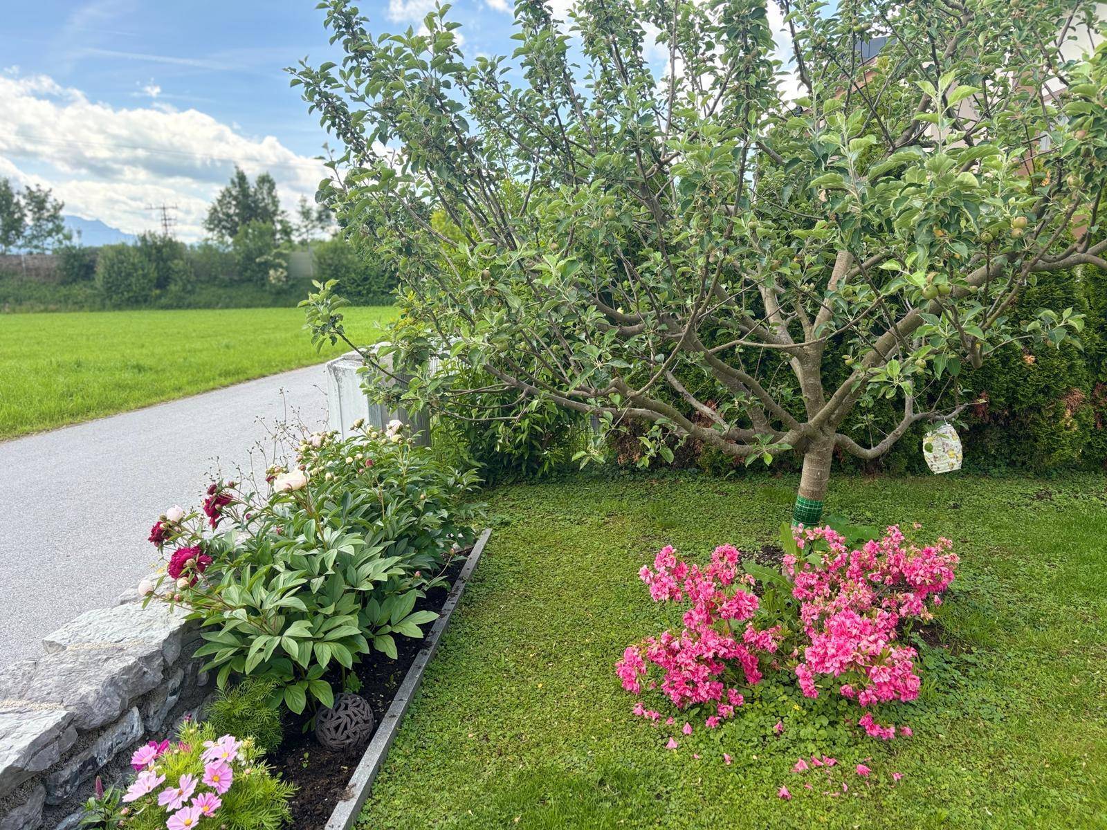 ANTHERING | Einfamilienhaus mit Bergblick &amp; viel Platz für die Familie ab Frühling 2028 - Widok 5