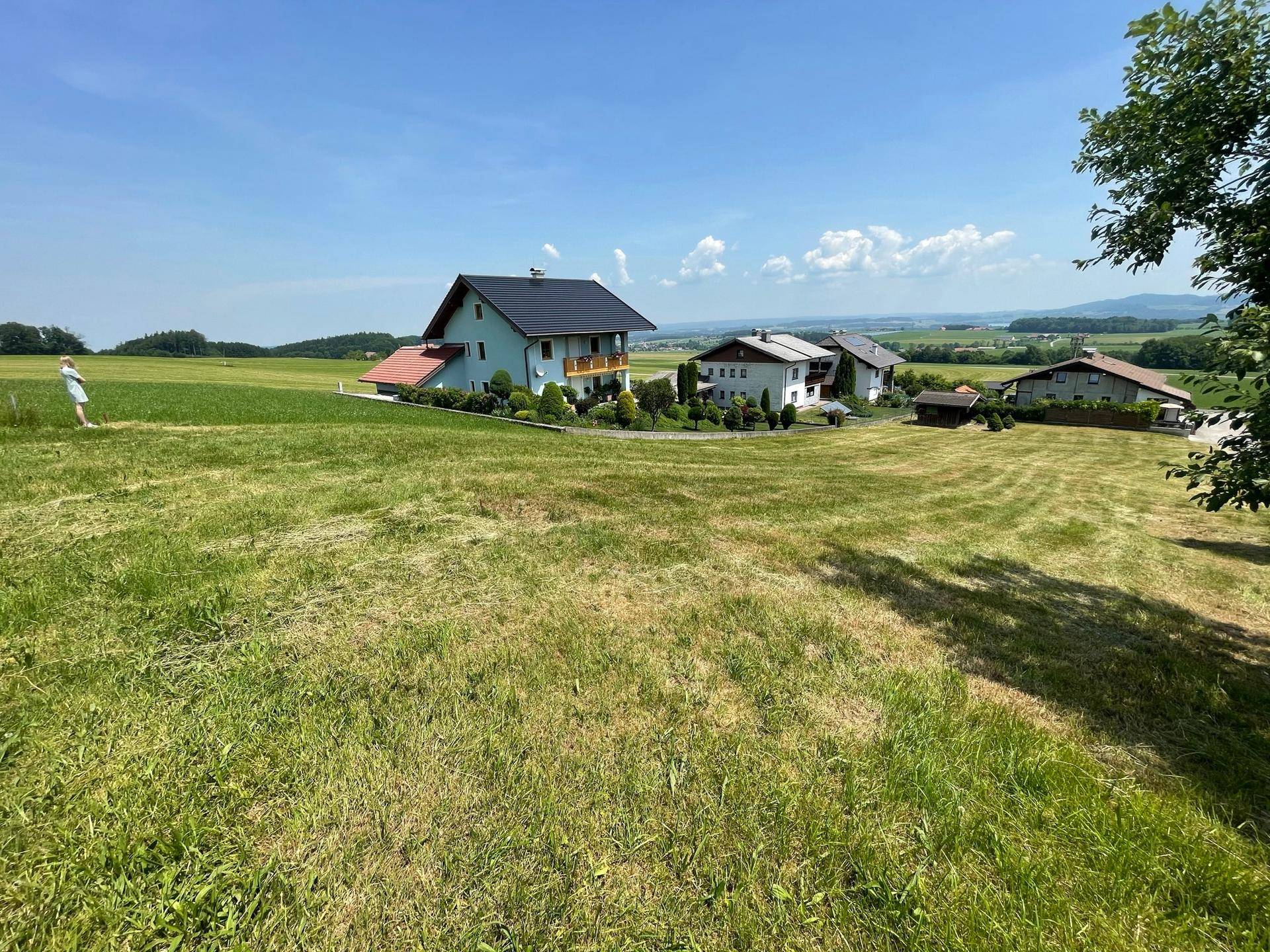Eine weitläufige grüne Wiese mit mehreren Häusern im Hintergrund unter einem strahlend blauen Himmel.