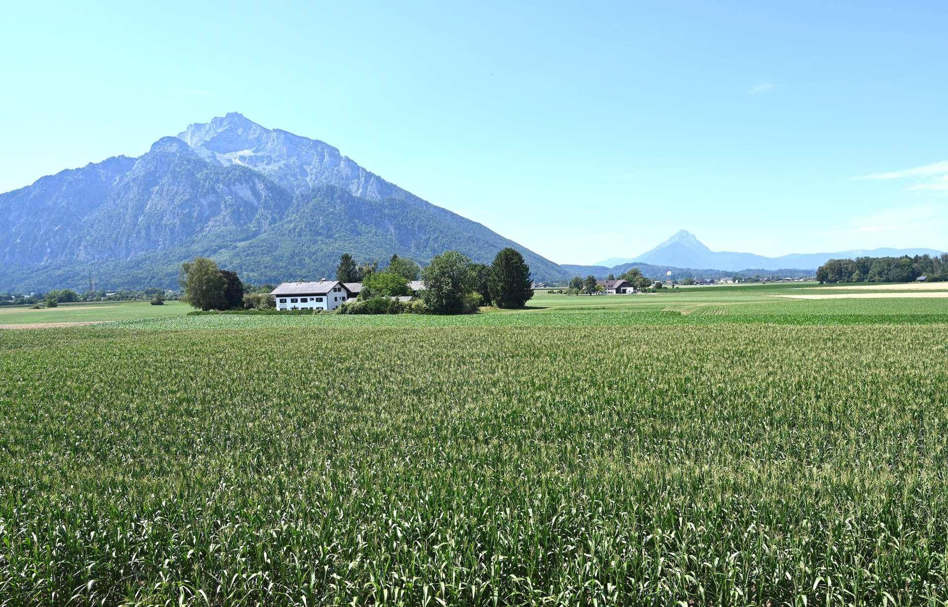 Malerische Landschaft mit weiten grünen Feldern, imposanten Bergen und einem Haus in der Ferne.