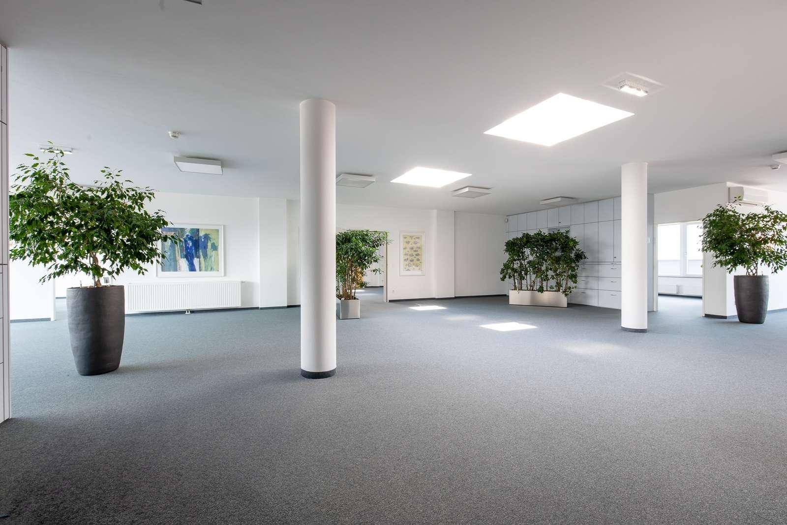 Geräumiger, offener Bürobereich mit Säulen, Teppichboden und dekorativen Pflanzen für eine angenehme Atmosphäre.