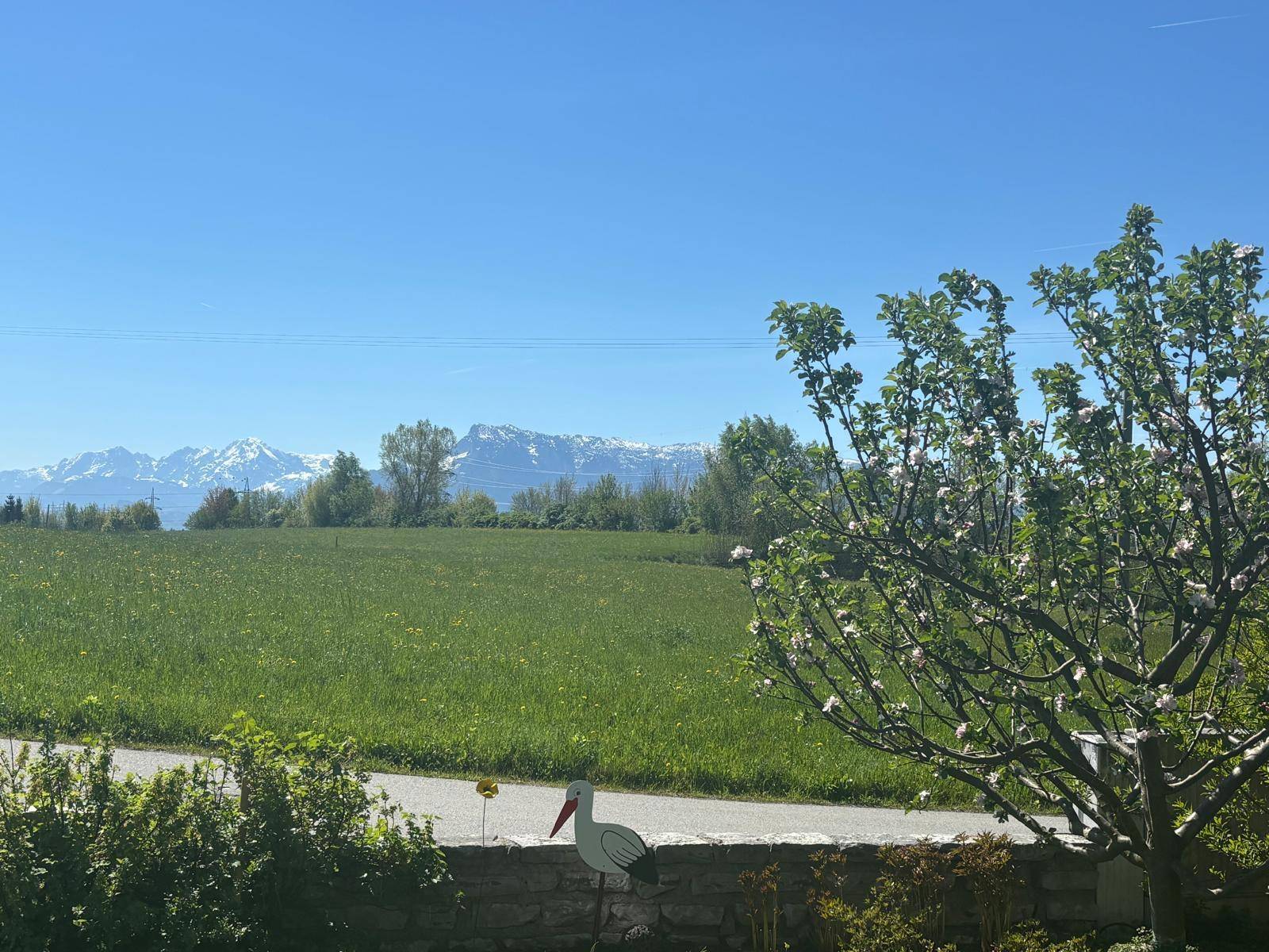 ANTHERING | Einfamilienhaus mit Bergblick &amp; viel Platz für die Familie ab Frühling 2028 - Widok 4