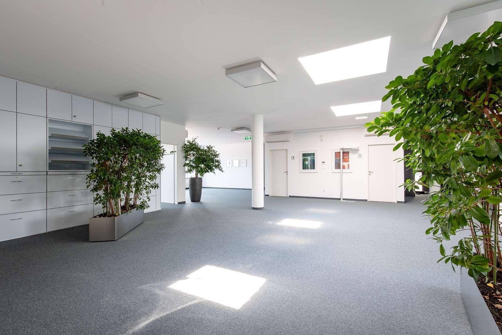 Offener Bürobereich mit Einbauschränken, Säulen und großen Pflanzen, gut beleuchtet.