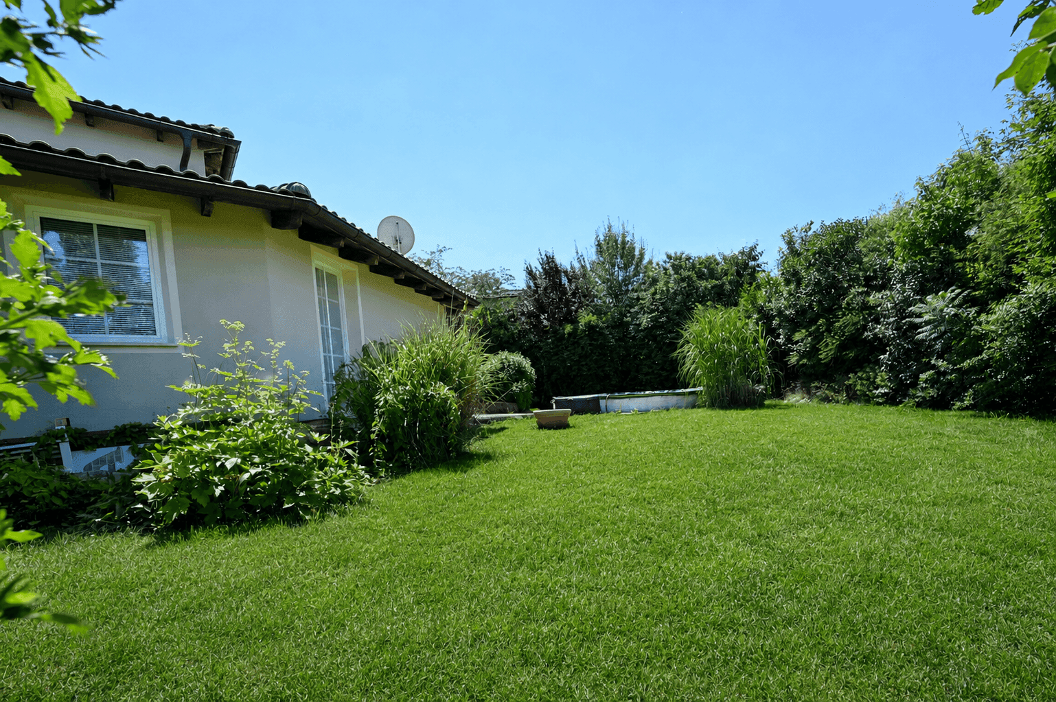 Weitläufige Rasenfläche neben dem Haus, umgeben von üppigem Grün und Bäumen.