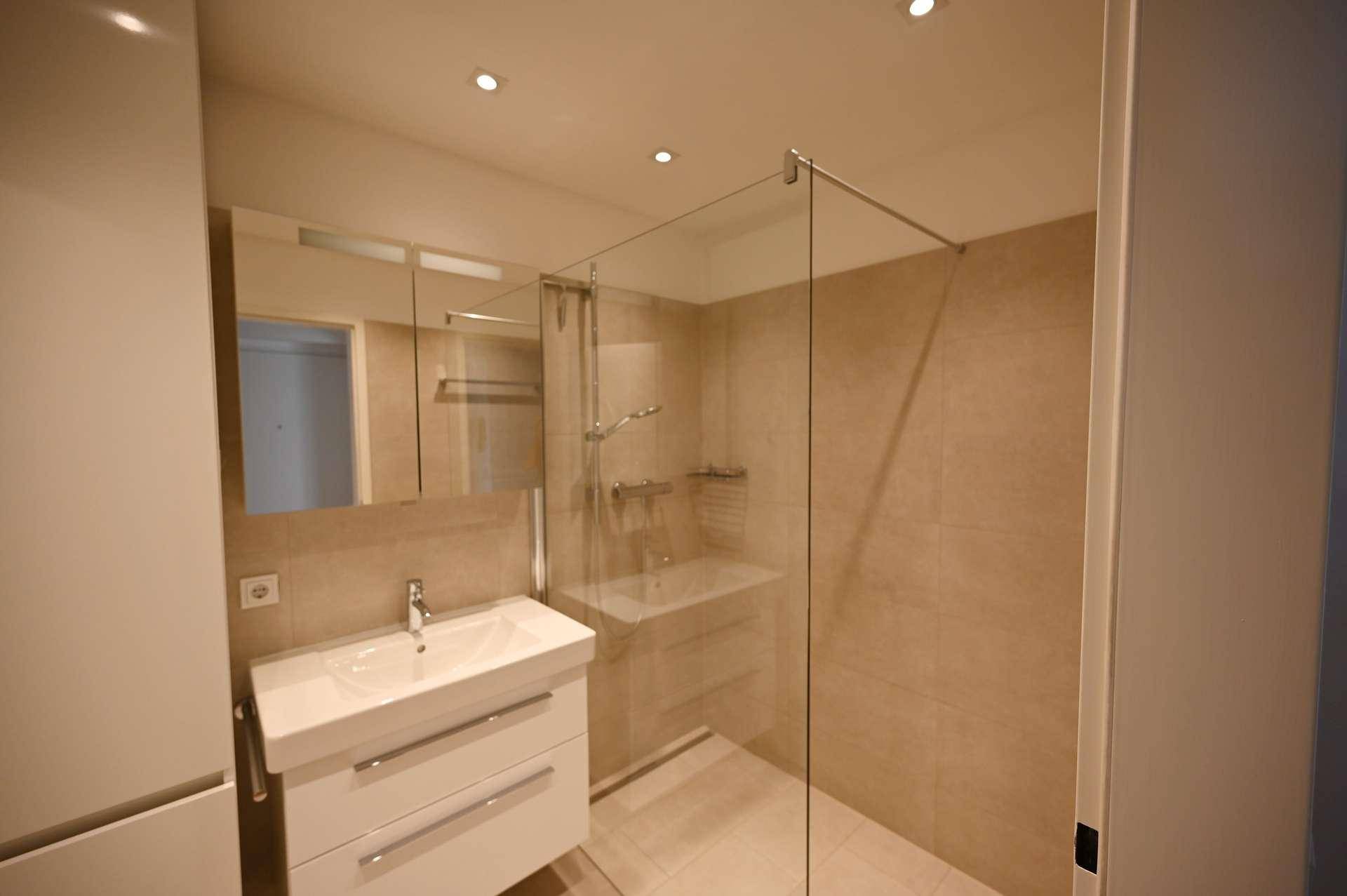 Modernes Badezimmer mit begehbarer Dusche, Einzelwaschbecken und Spiegelschrank.