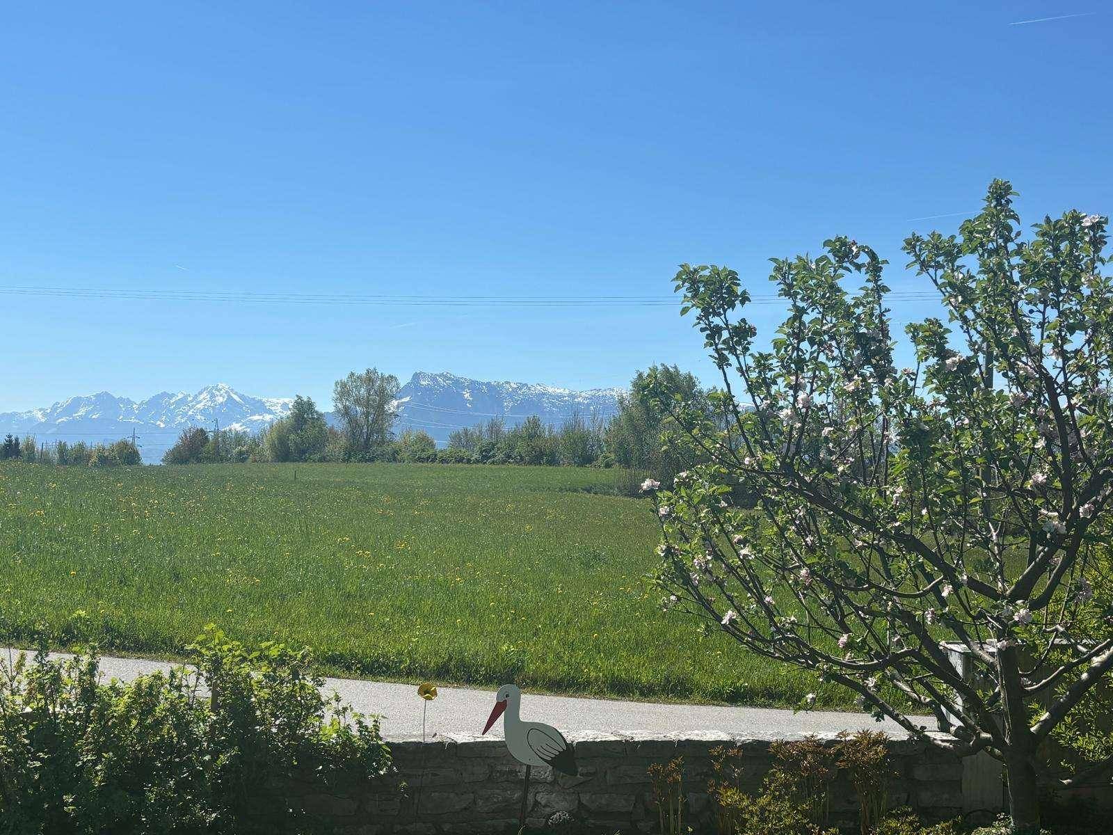 Malerischer Blick auf grüne Felder und schneebedeckte Berge unter blauem Himmel.