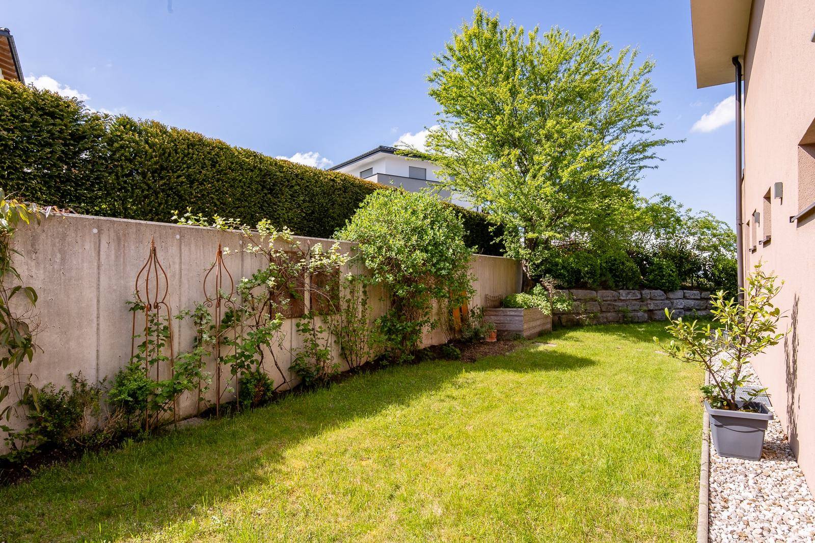 Gepflegter Gartenbereich mit Rasenfläche, hohen Hecken und Bäumen.