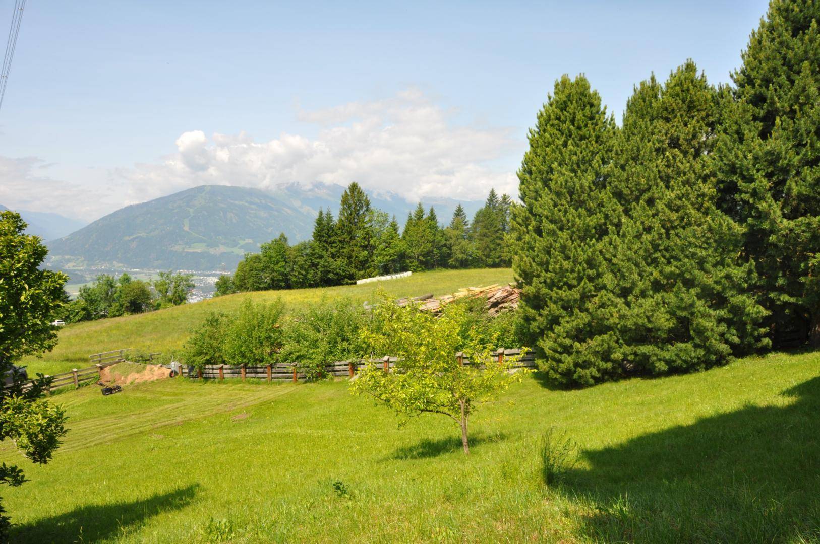 Panoramablick über eine sanft abfallende grüne Wiese mit vereinzelten Bäumen und Bergblick.