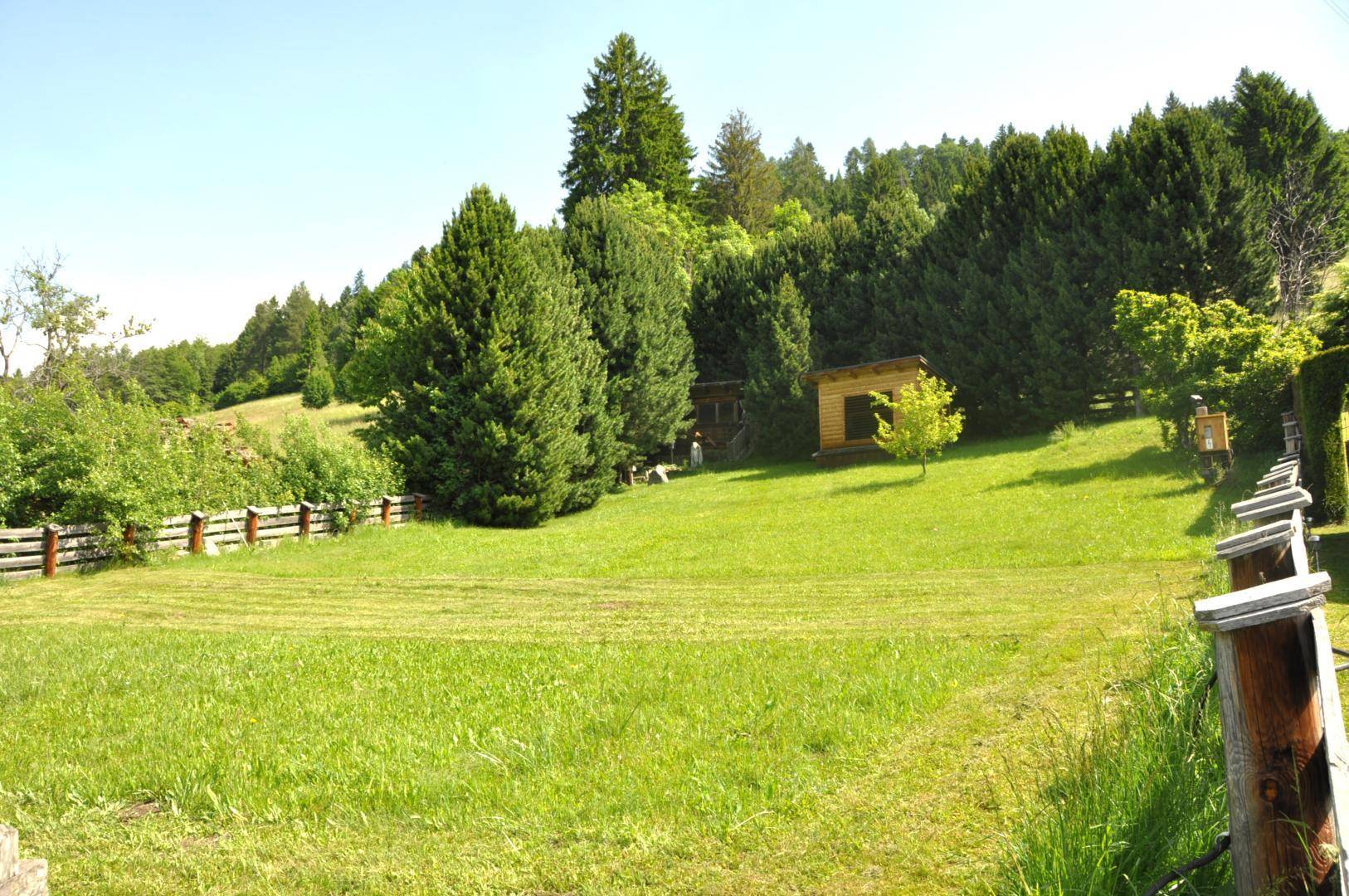 Weitläufige grüne Wiese mit Bäumen, einem kleinen Holzschuppen und einem Holzzaun im Hintergrund.