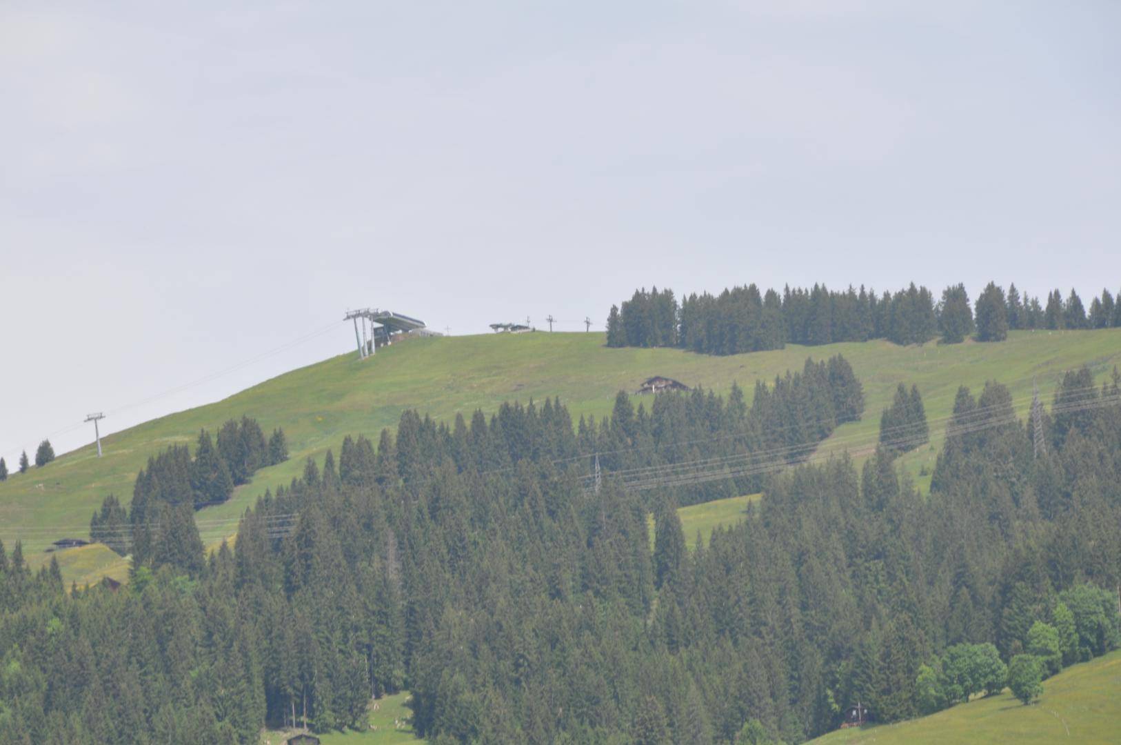 Weitläufige bewaldete Berglandschaft mit einem Skilift auf dem Gipfel unter hellem Himmel.