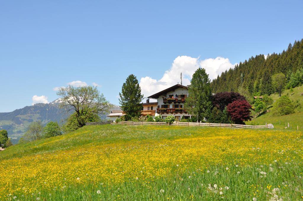 Traditionelles Gebäude in einer weitläufigen alpinen Landschaft mit blühenden Wiesen unter blauem Himmel.