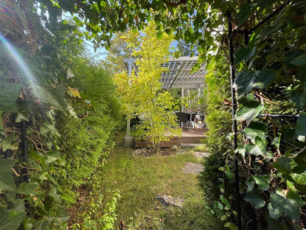 Grüner Gartenweg führt zur überdachten Terrasse, umgeben von dichtem Bewuchs.