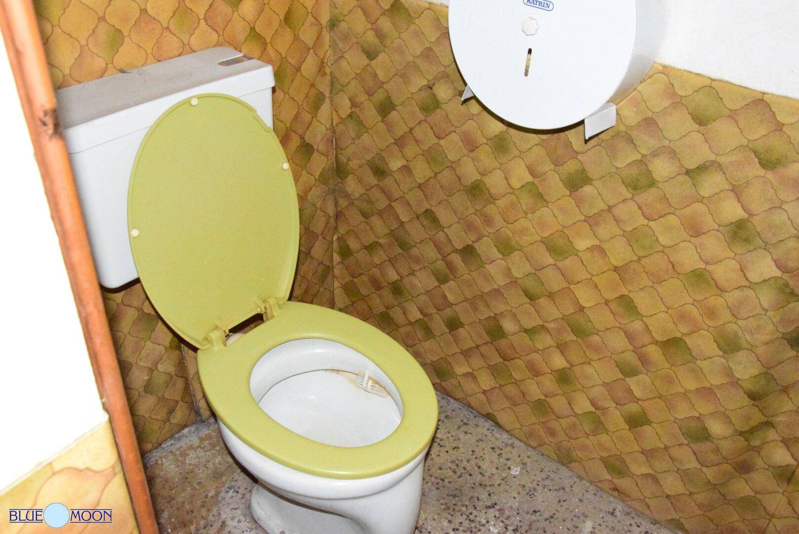 Toilette mit auffällig grünem Sitz und gemusterten Wandfliesen in einem älteren, renovierungsbedürftigen Zustand.