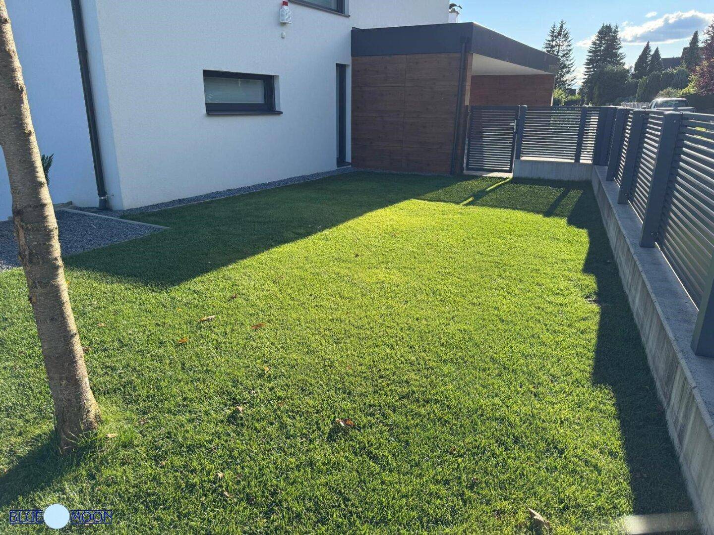 Detailansicht des frisch gemähten Rasens im Gartenbereich des Hauses.