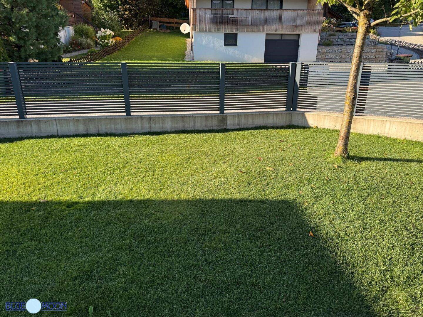 Sonnige Rasenfläche mit jungem Baum und moderner Zaunanlage im Garten.