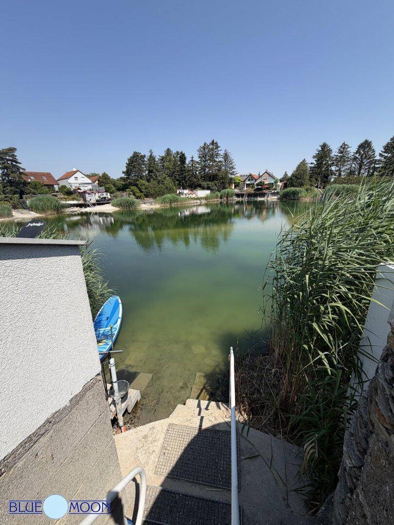 Direkter Seezugang mit Treppe und einem blauen Boot, umgeben von üppigem Schilf.