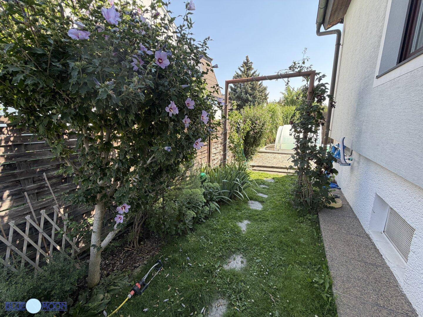 Gepflegter Gartenbereich mit blühenden Sträuchern, Rasenfläche und einem kleinen Steinweg.