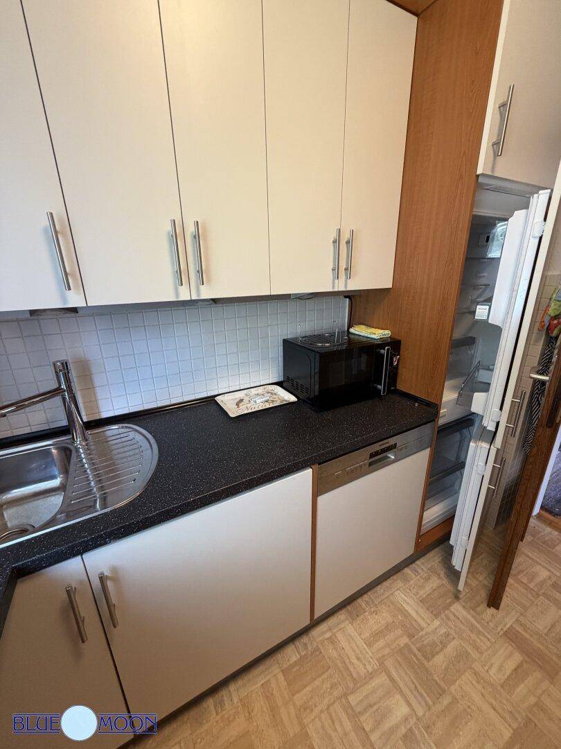 Gut ausgestattete Küche mit weißen Schränken, Spüle, Geschirrspüler und integriertem Kühlschrank.