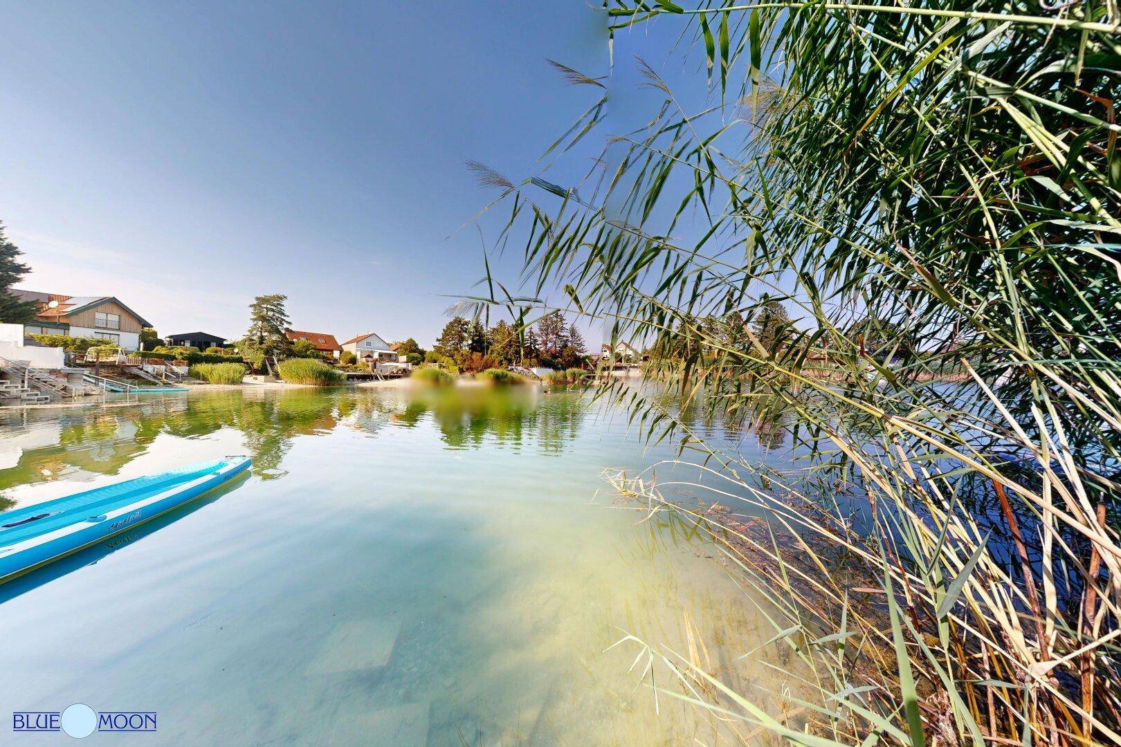 Ruhiger See mit Schilf und Häusern im Hintergrund unter strahlend blauem Himmel.