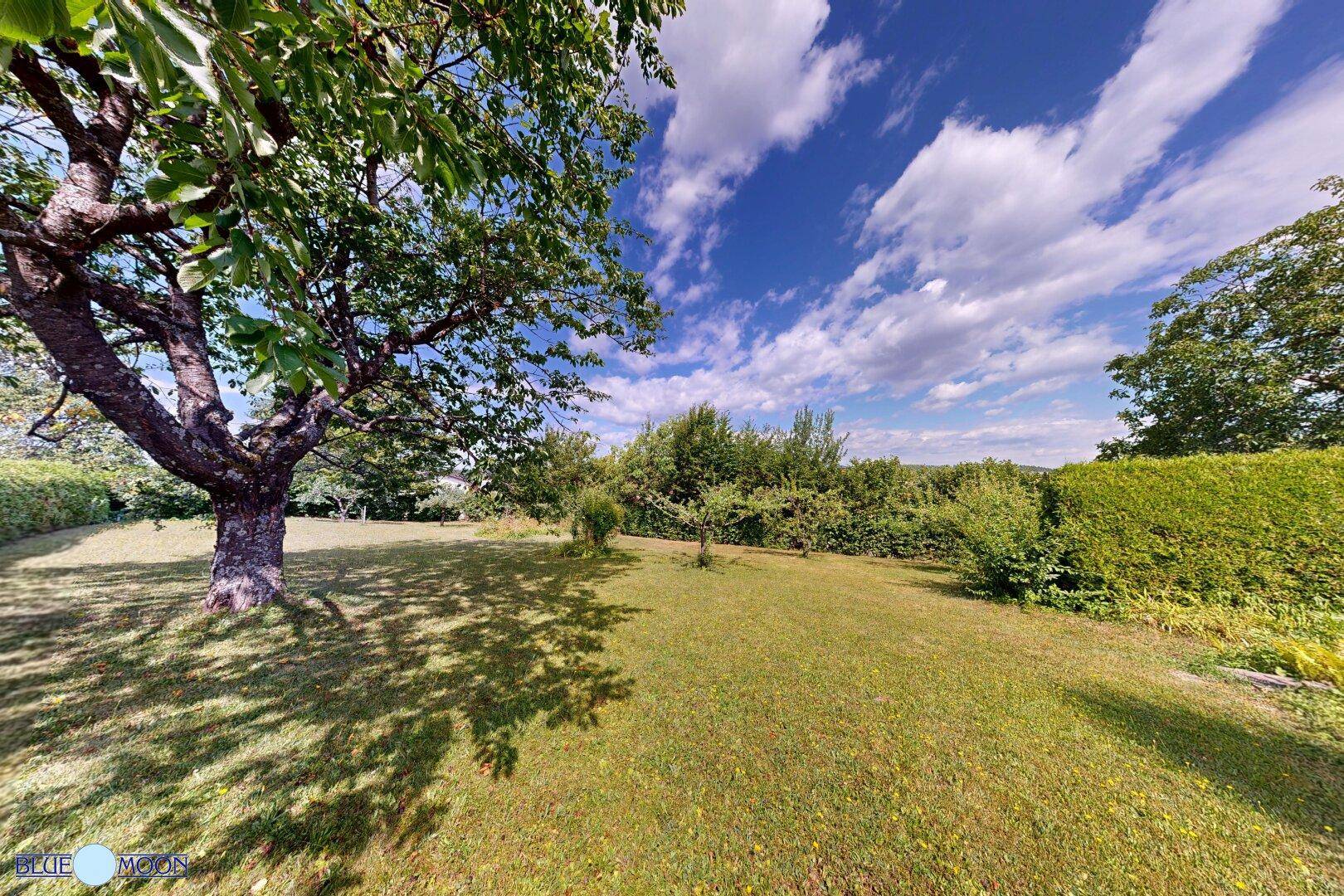 Weitläufiger Garten mit Rasenfläche und alten Obstbäumen unter blauem Himmel.
