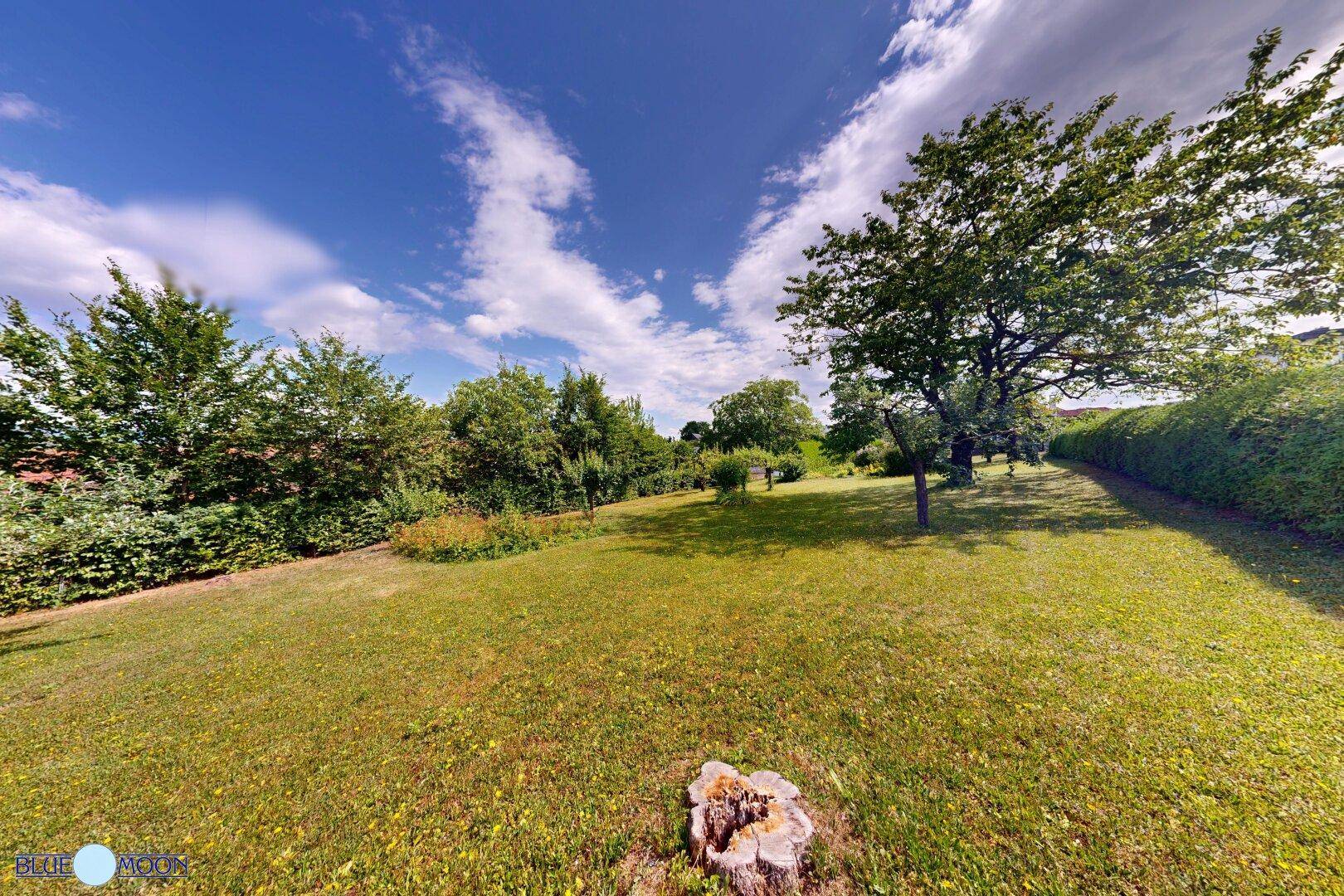 Großer Gartenbereich mit altem Baumbestand und viel Grünfläche unter blauem Himmel.