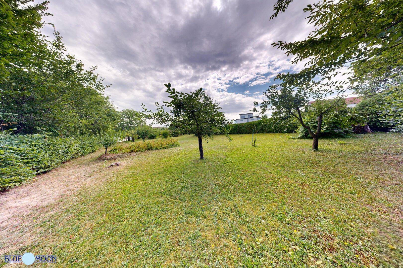 Weitläufiger Garten mit Rasenfläche und Bäumen, im Hintergrund ist ein Gebäude zu erkennen.