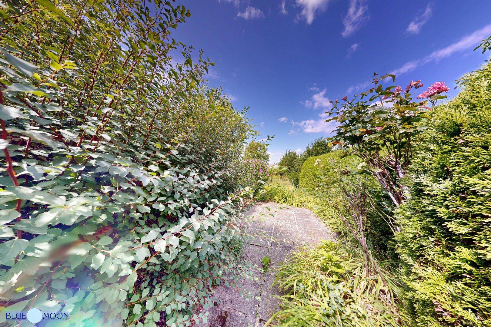 Schmaler Gartenweg umgeben von üppigem Grün und hohen Büschen.
