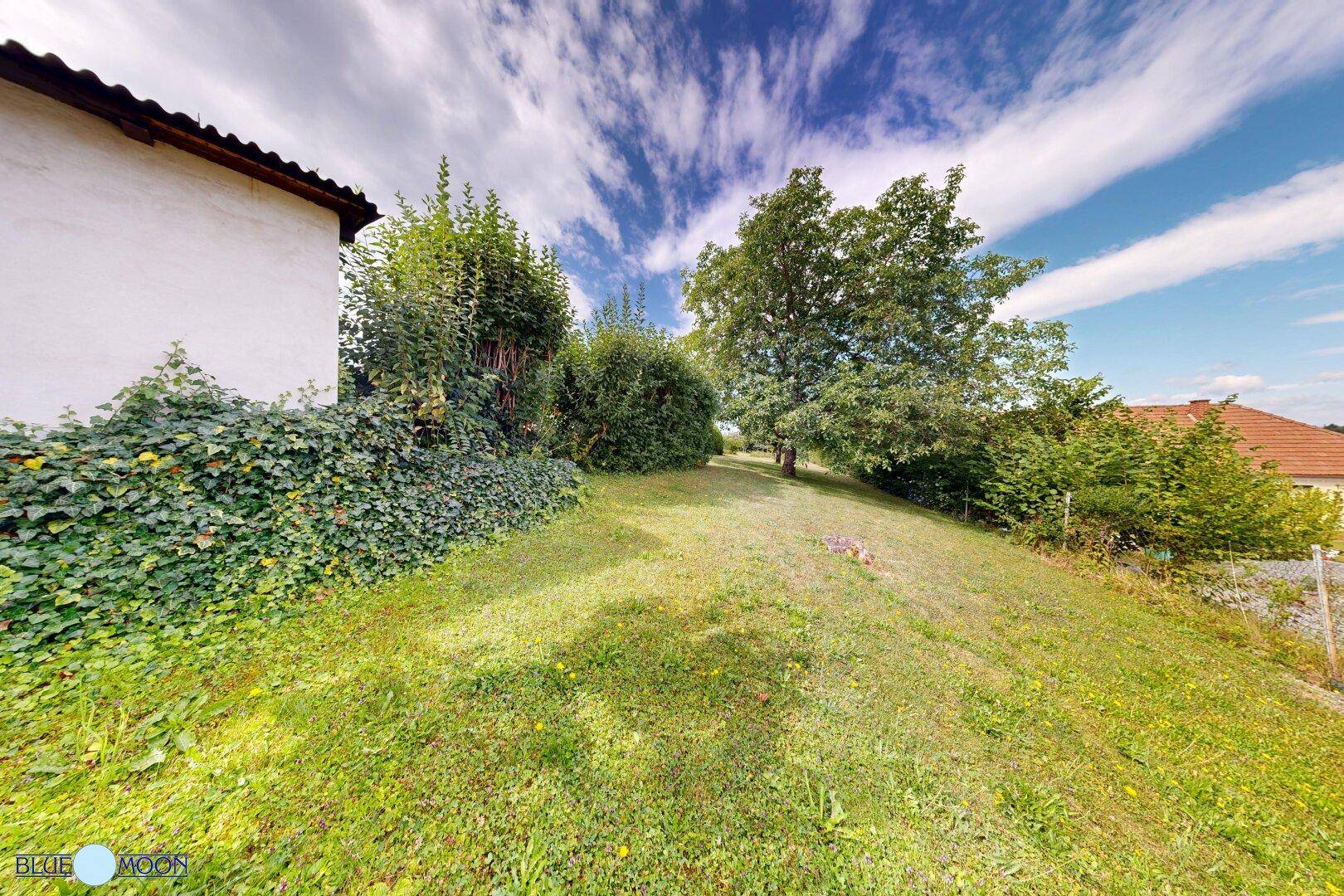 Naturbelassener Gartenbereich mit üppiger Vegetation und einem Teil des Gebäudes im Vordergrund.
