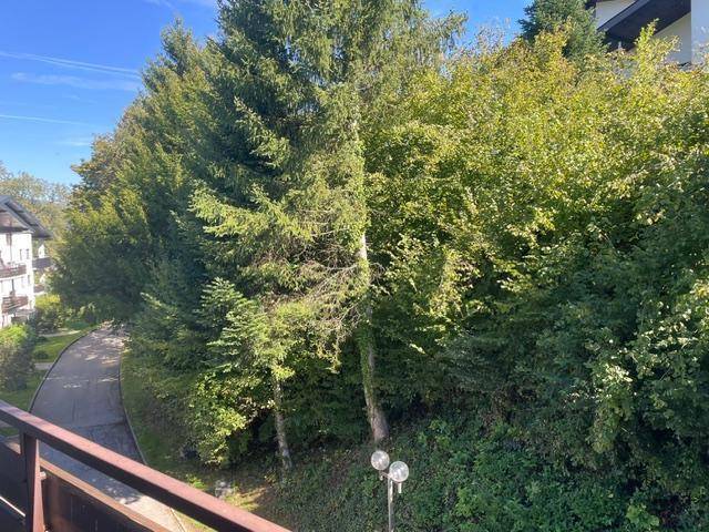 Weitläufiger Blick vom Balkon auf eine Reihe hoher Bäume und einen dahinterliegenden Weg.
