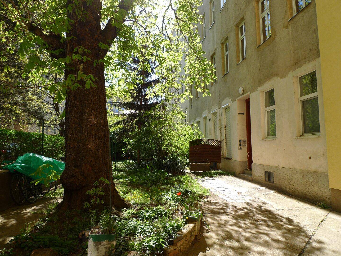 Grüner Innenhof mit altem Baum, Rasenfläche und Zugang zum Gebäude.