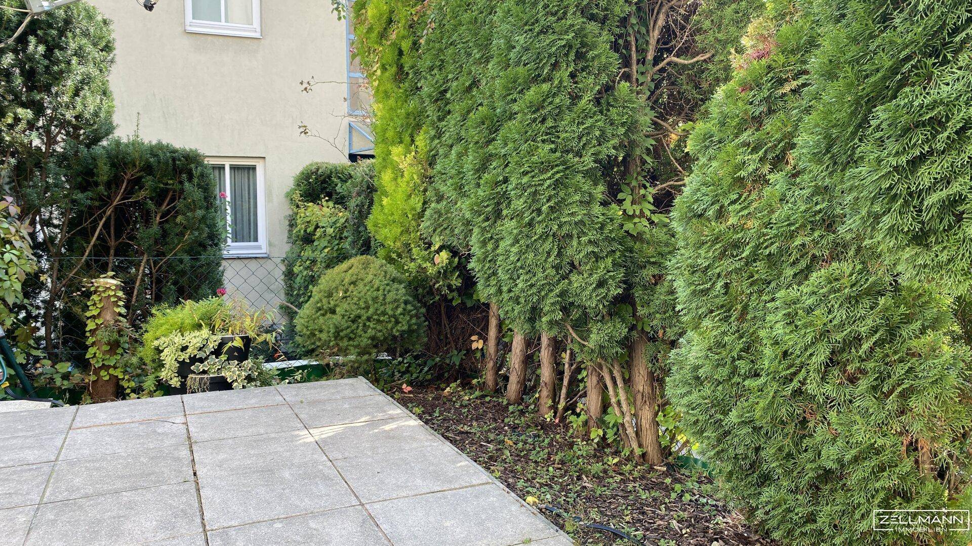 Gepflasterte Terrasse umgeben von hohen Hecken und Bäumen, bietet Privatsphäre im Freien.