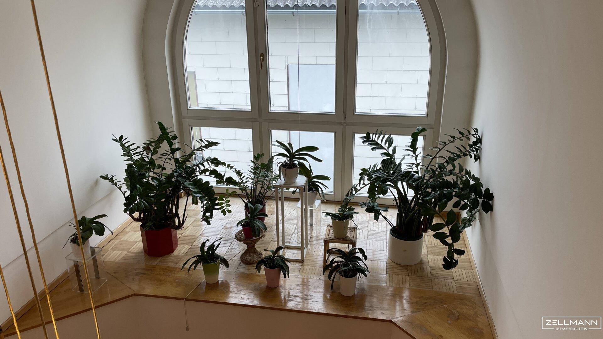 Heller Treppenabsatz mit großem Bogenfenster und zahlreichen Grünpflanzen.