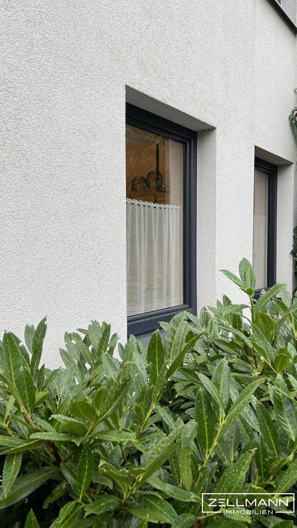 Detailansicht der modernen Hausfassade mit Fenster und grüner Bepflanzung im Vordergrund.