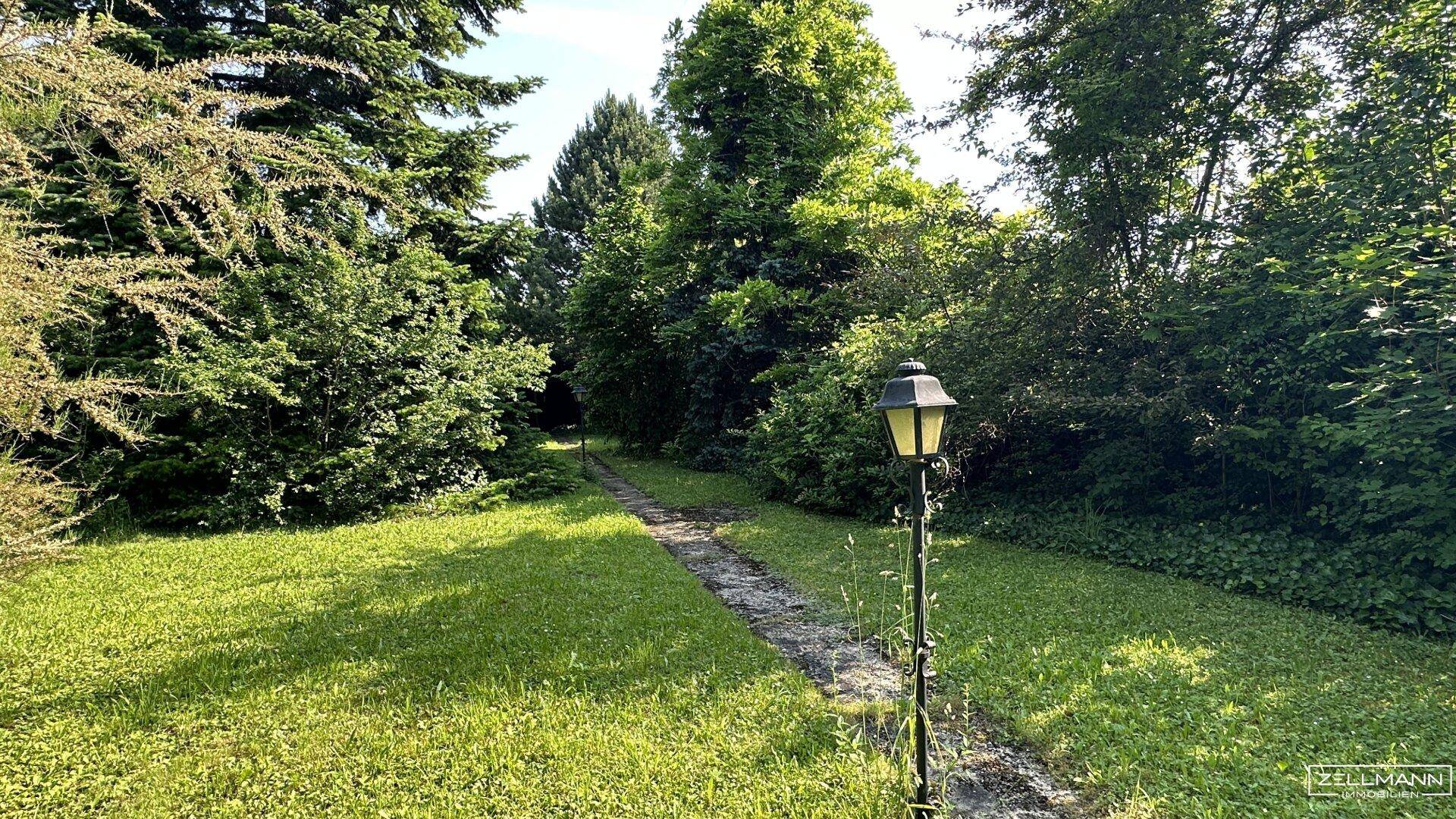 Slide 6